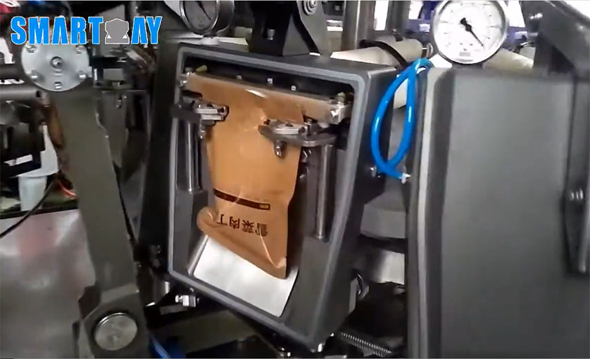 Fried rice vacuum premade bag rotary packaging line with screw multihead weigher 12