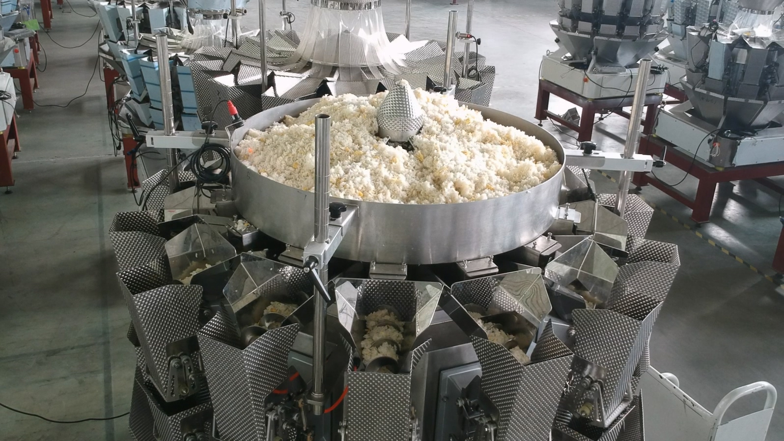 Fried rice vacuum premade bag rotary packaging line with screw multihead weigher 9