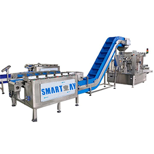 What are the functions of the crayfish tray filling and packing system? 16