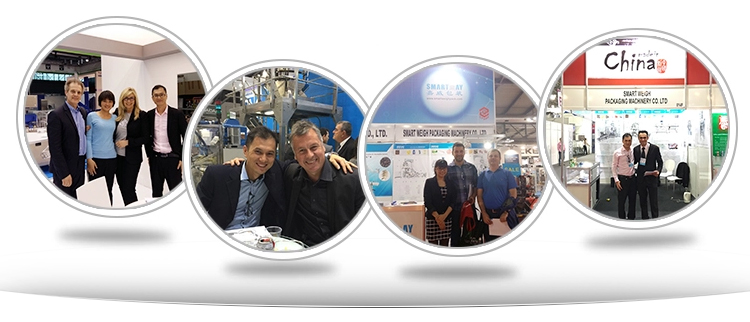 Potato Chips Pringles  vertical packing machine with multihead weigher 16