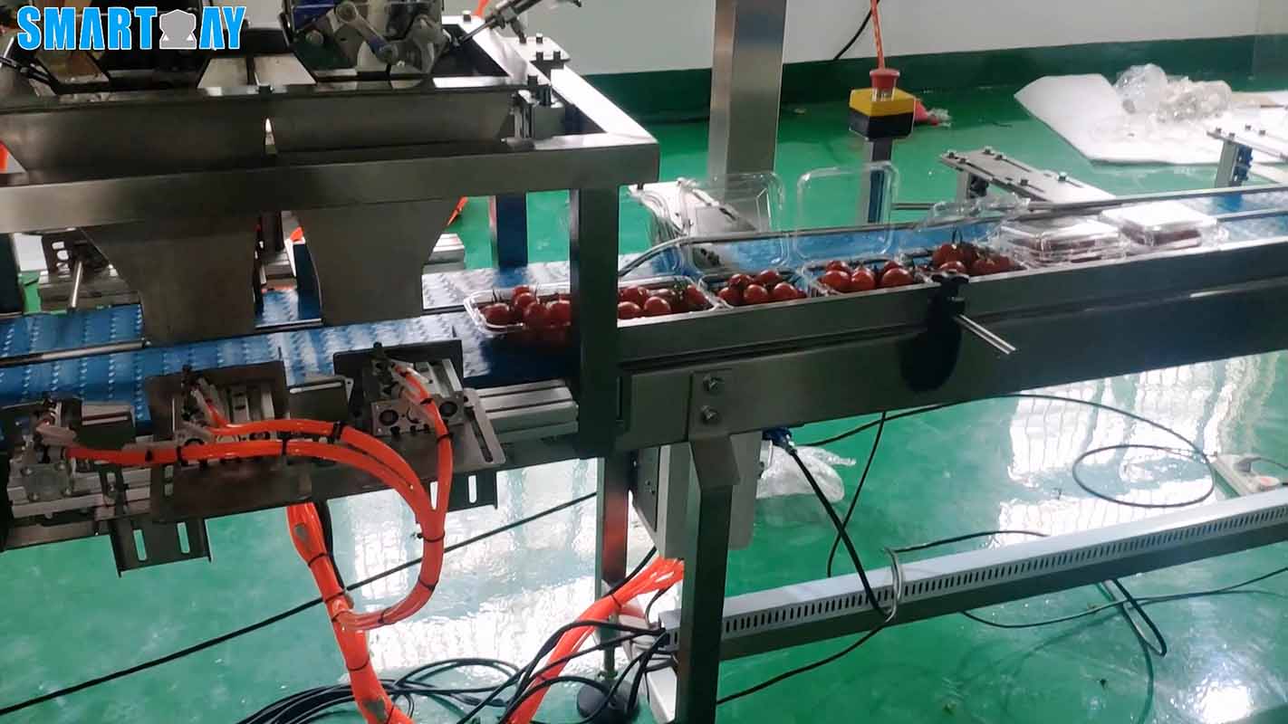Automatic Tray Denester Machine For Meat, Vegetables And Fruits 11
