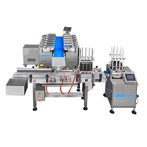Automatic Tray Denester Machine For Meat, Vegetables And Fruits 7