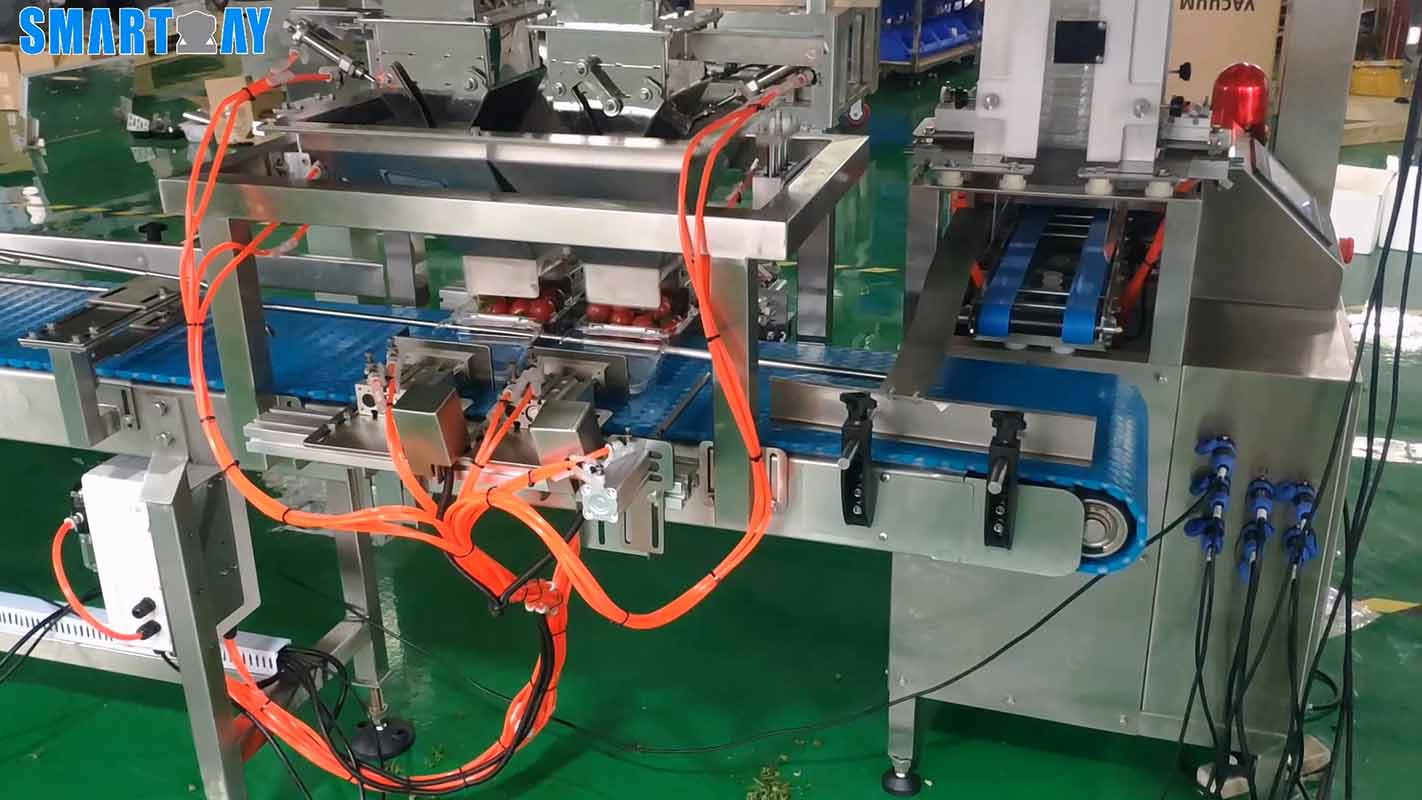 Automatic Tray Denester Machine For Meat, Vegetables And Fruits 10