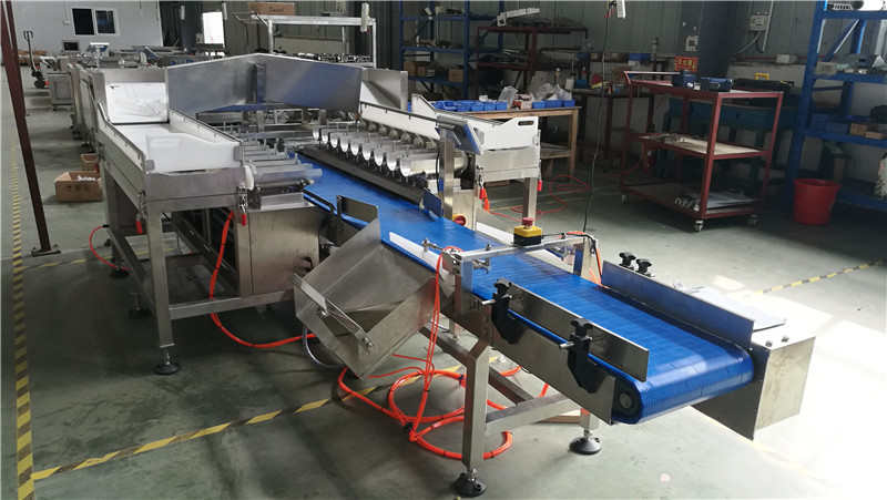 SW-LC18 Fish weigher.1.jpg