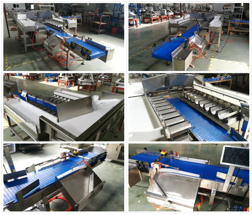 Automatic Frozen Fish Fillet Packing Machine Weigher 4