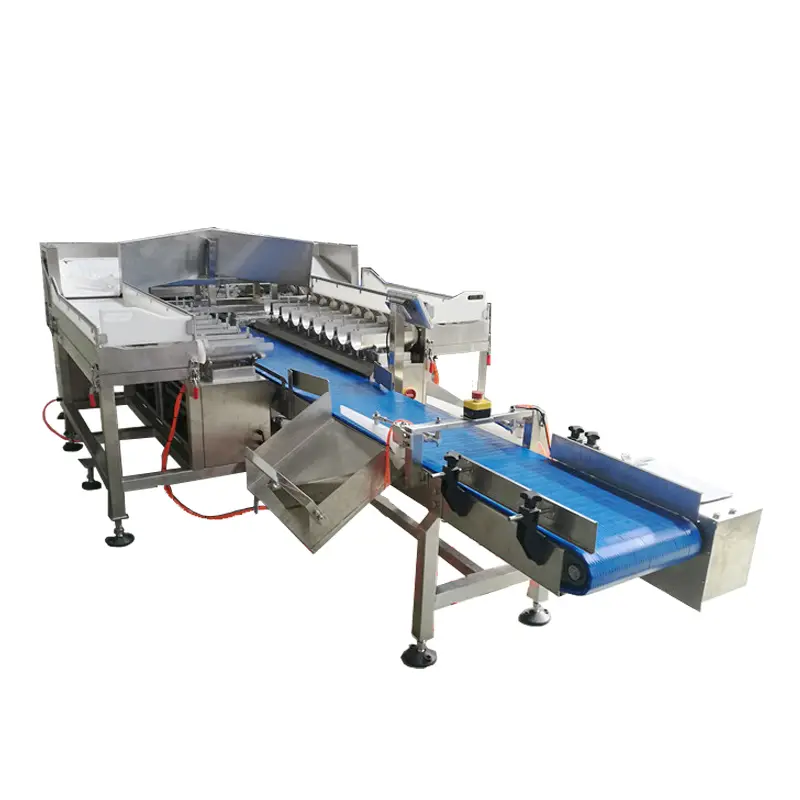 Cost-effective weigher with custom services | Smart Weigh 2