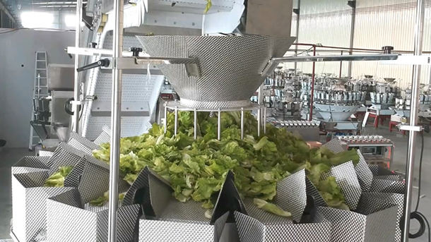  multihead weigher rau zaub xam lav