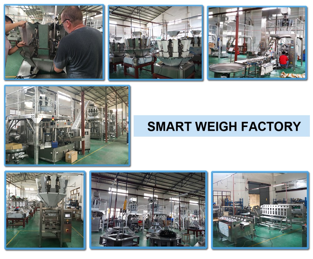 Smart Weigh 雙頭線性稱重料斗秤 蔬菜種子用線性秤 9