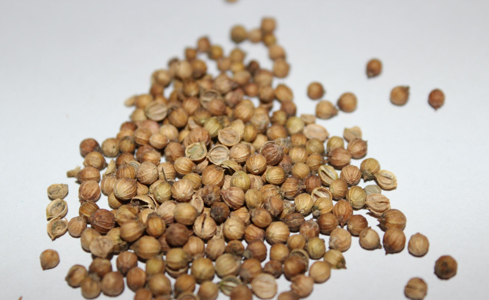 Smart Weigh 雙頭線性稱重料斗秤 蔬菜種子用線性秤 5