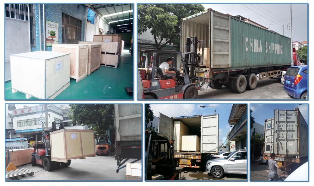 Smart Weigh 雙頭線性稱重料斗秤 蔬菜種子用線性秤 13