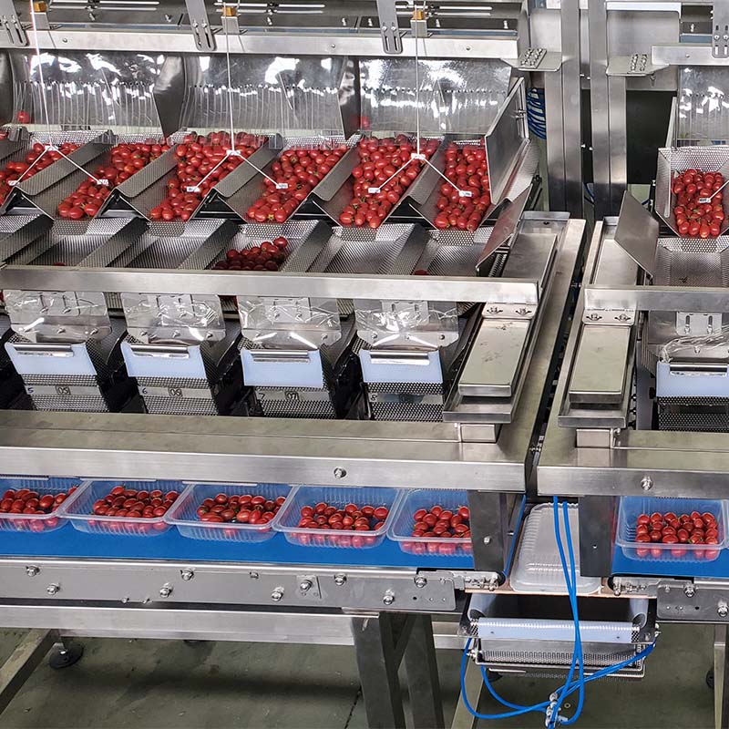 Parduodamas kokybiškas šviežių daržovių, vaisių ir vyšninių pomidorų pakavimo aparatas | „Smart Weight“ 14