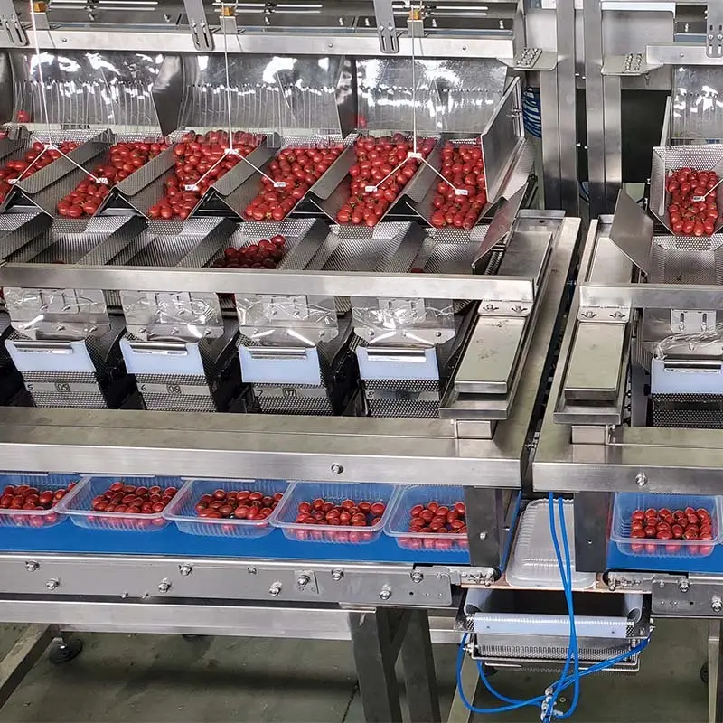 Durable tray sealer machine price  | Smart Weigh 3