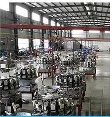 Mashine ya Kufungasha Mikunde ya Kiotomatiki yenye Uzito wa Vichwa 14 vya Vichwa Vingi 24