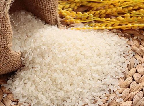 เครื่องบรรจุเมล็ดธัญพืชแบบเม็ด ประสิทธิภาพสูง ทนทาน 10 หัว 14