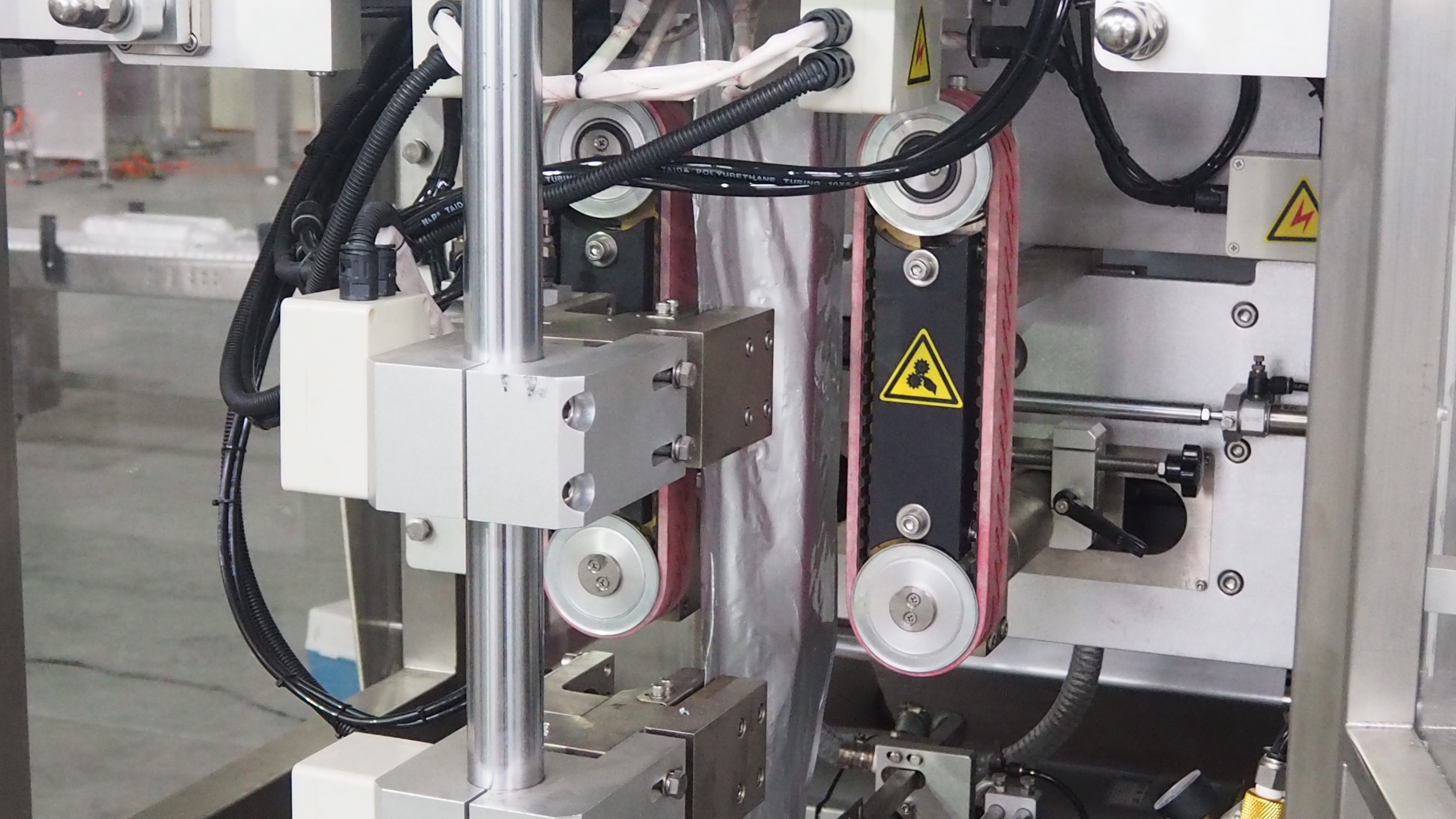 Ginger shredded Red Date Mixture Packaging Solution 6