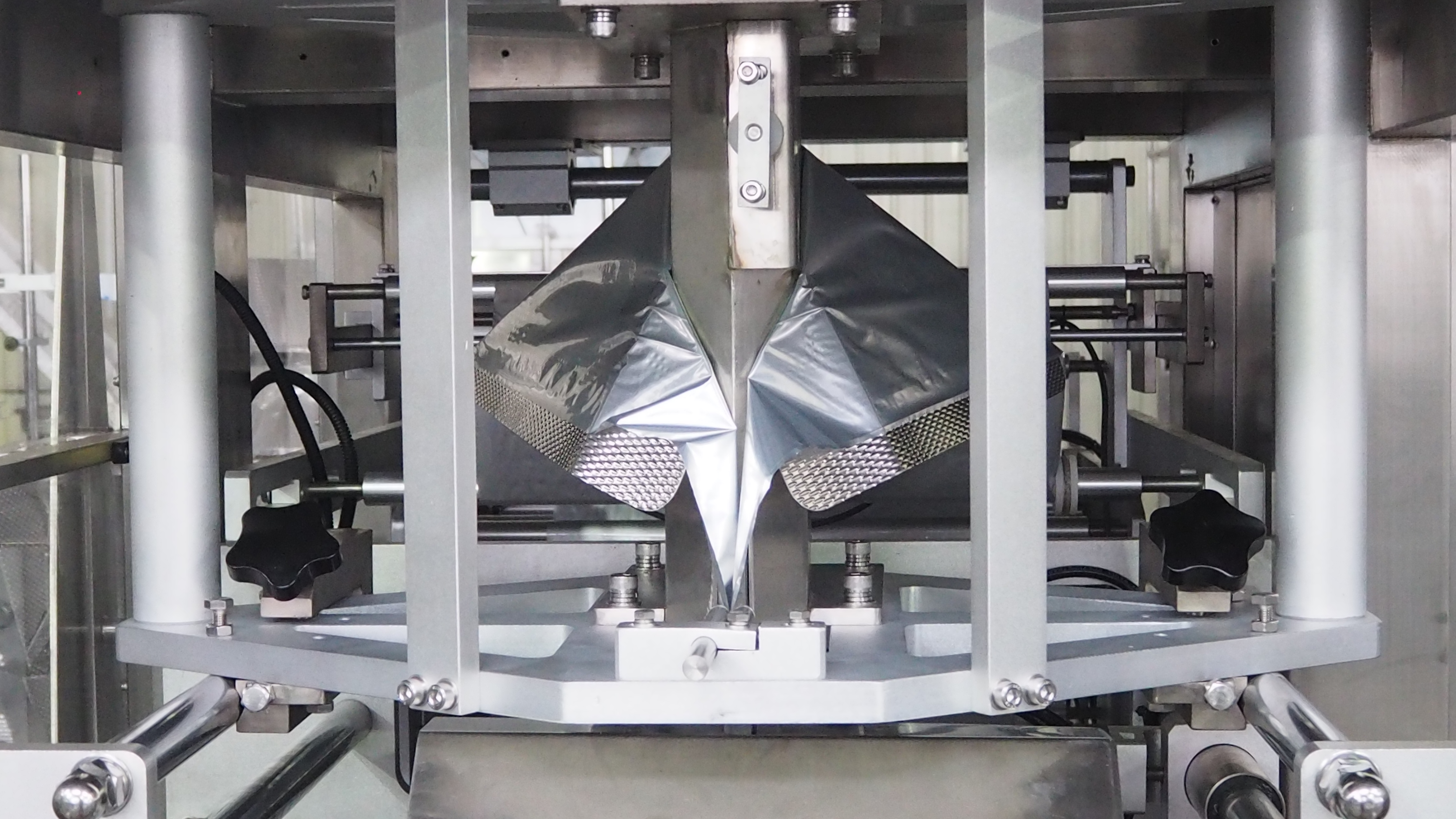 Ginger shredded Red Date Mixture Packaging Solution 8