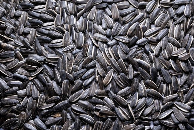 Máy đóng gói ngũ cốc chất lượng cao theo yêu cầu của nhà sản xuất Trung Quốc 12