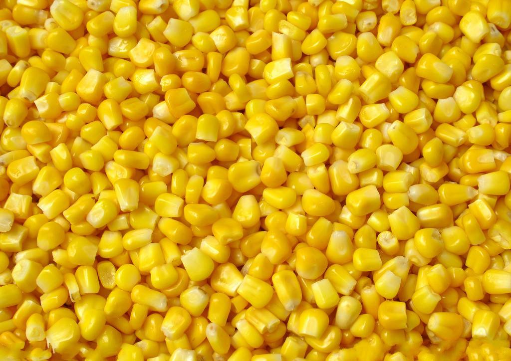 เครื่องบรรจุเมล็ดธัญพืชแบบเม็ด ประสิทธิภาพสูง ทนทาน 10 หัว 12