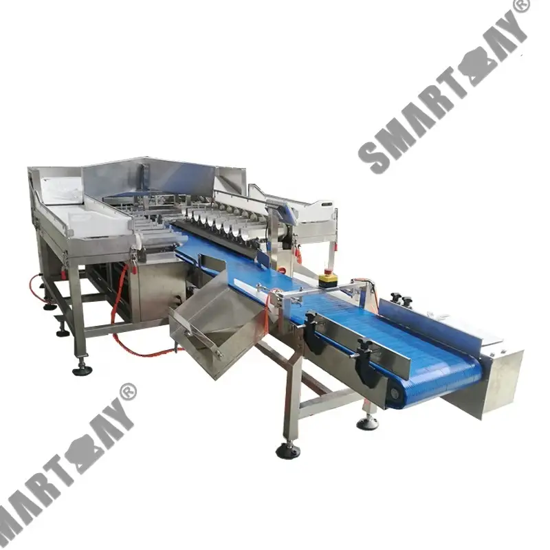 CE Awtomatika tal-Flett tal-Ħut Iffriżat/Frott tal-Baħar 18-il Ras Kombinazzjoni Lineari Weigher/Multihead Weigher 1