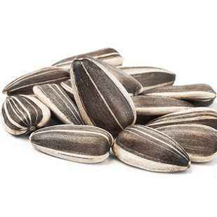 1 Head Linear Weigher 10