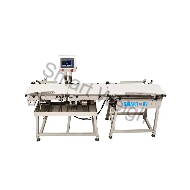 Smart Weigh SW-C220 Checkweigher 1