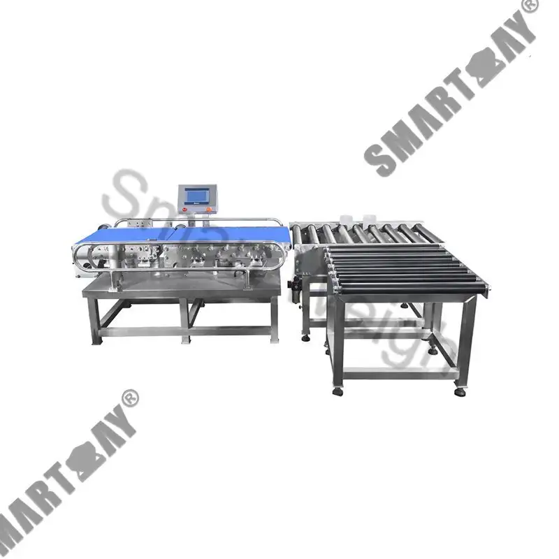 Timbangan Pinter SW-C500 Checkweigher 1