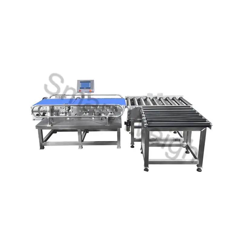 Smart Weigh SW-C500 Checkweigher 1