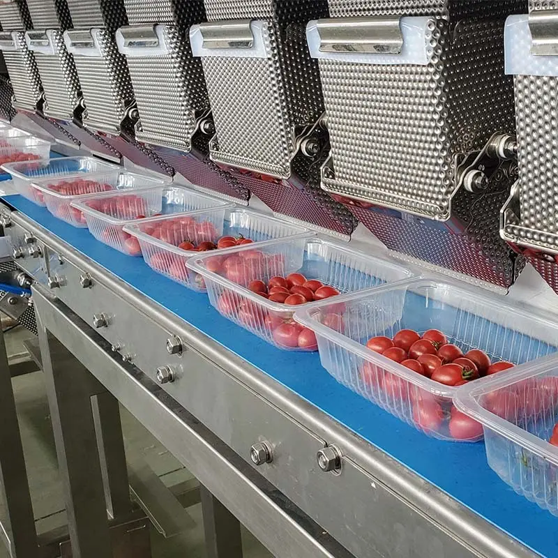 Durable tray sealer machine price  | Smart Weigh 4