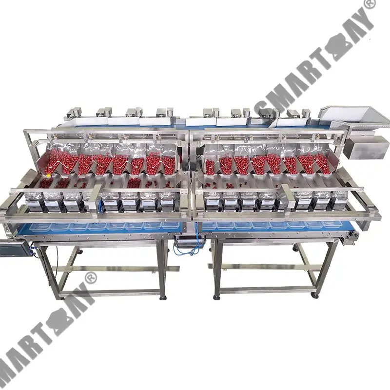 وزن ۽ فلر سان گڏ بلو بيري ۽ ٽماٽو پيڪنگ مشين 1