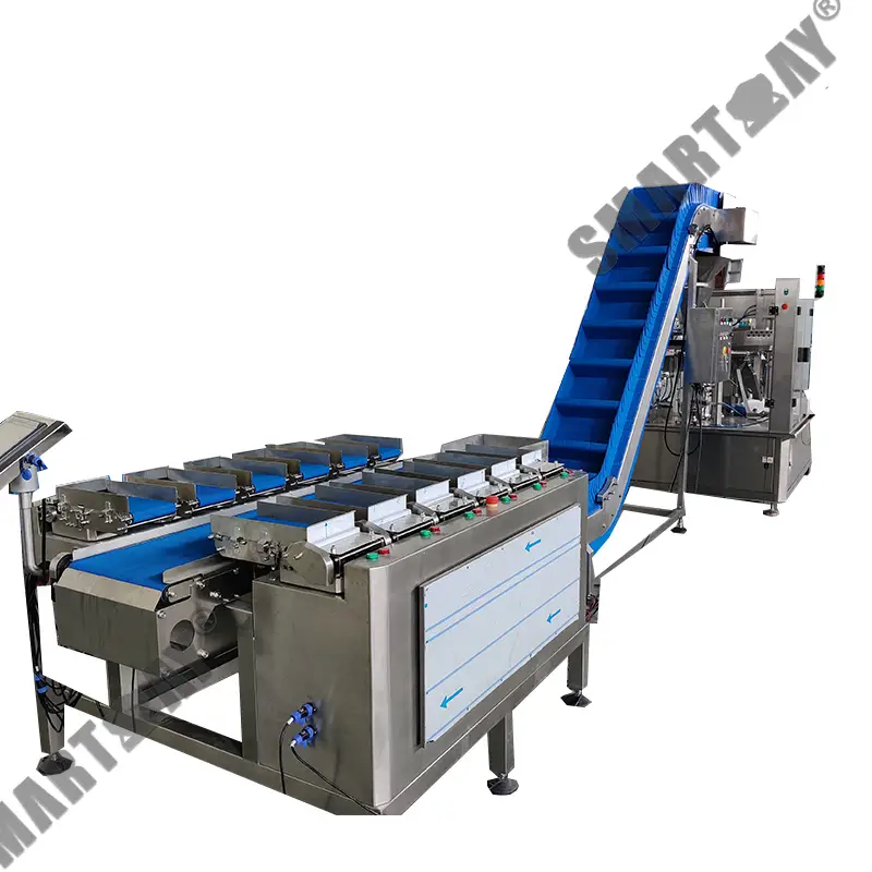 12 head linear combination weigher rotary packing project for frozen fish 1