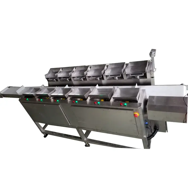 Miisaanka Suumanka Madaxa Badan ee Isku-dhafka ah oo leh Shaashad Taabasho oo PLC ah oo loogu talagalay Khudaarta Cusub Miraha Cuntada Badda 1