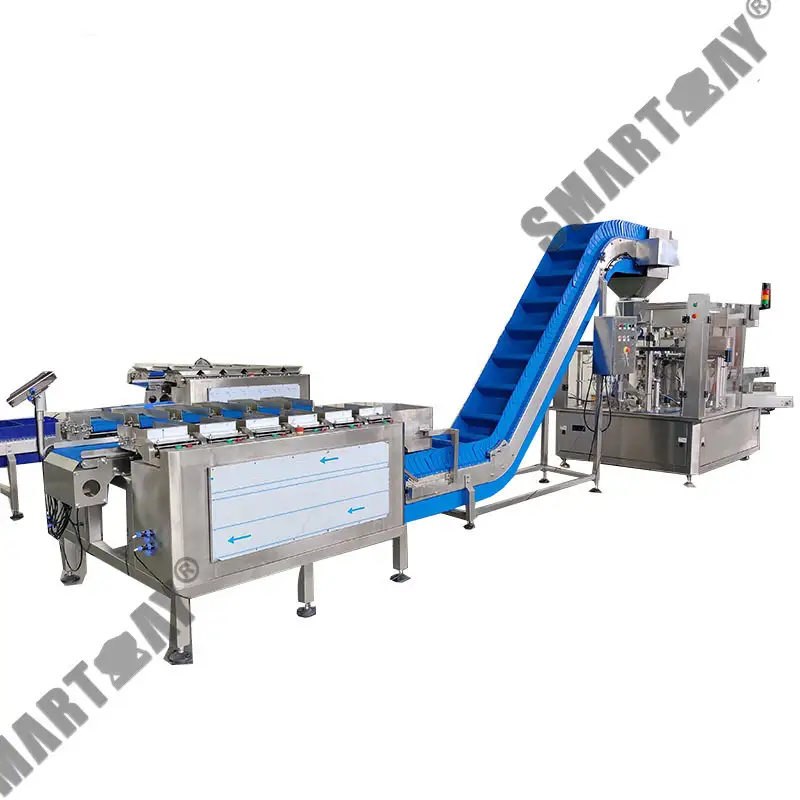 Ратарная упаковачная машына для гатовых пакетаў з 12 лінейнымі камбінаванымі вагамі для рыбных нагетсаў і морапрадуктаў 1