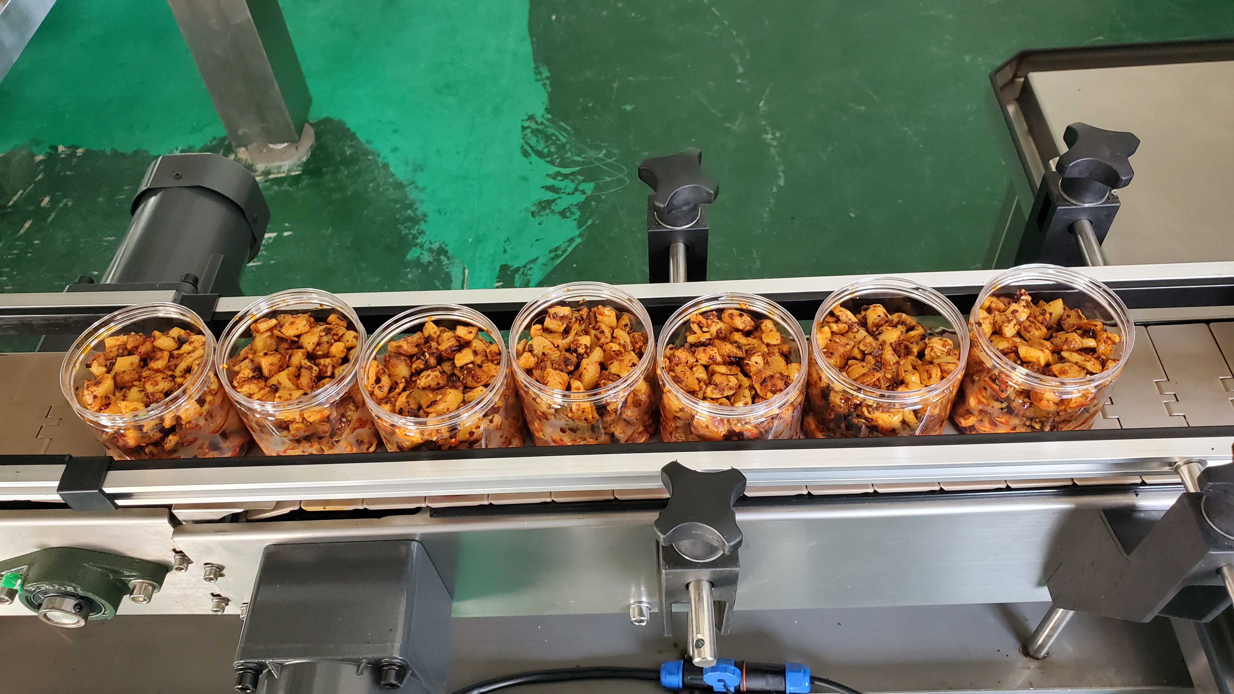 Mesin Pengemas Toples Botol | Smartweighpack 13