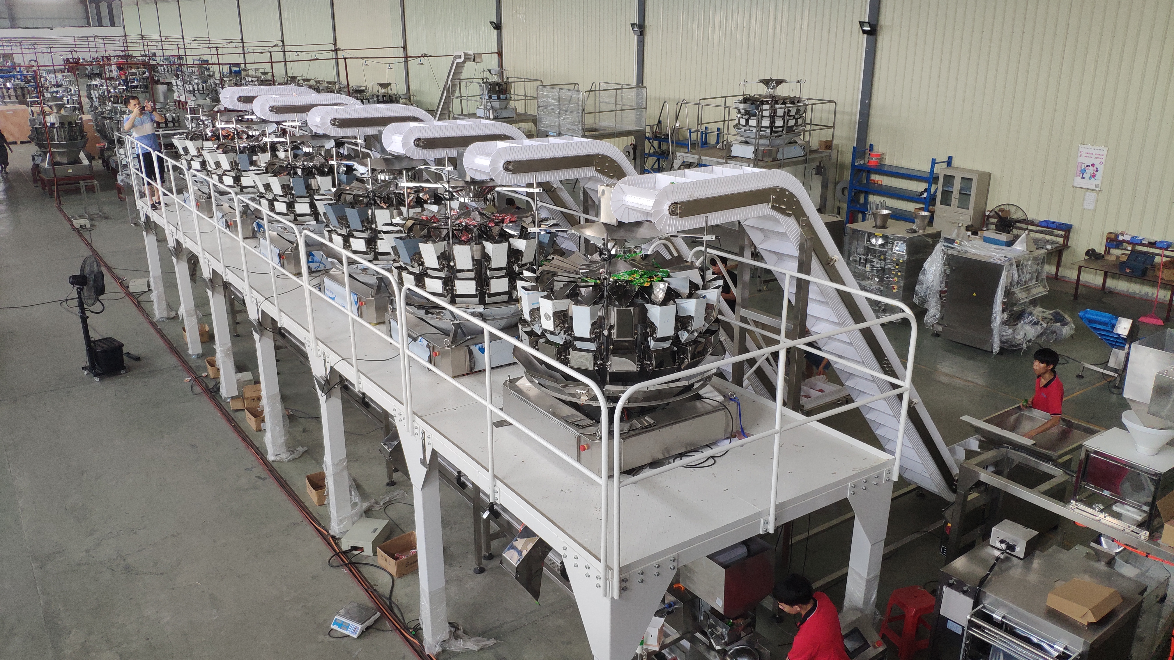 The Advantages and Purchasing Skills of Multihead Weigher 1