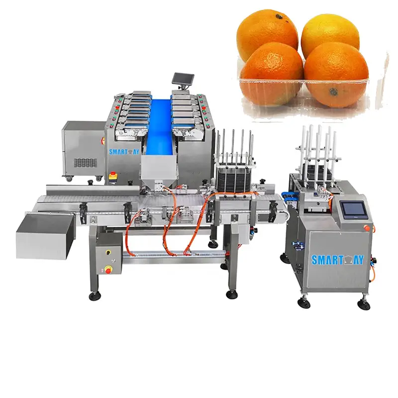 Ce Automatic twelve head combination weigher apple tray filling packing machine orange packaging machine for fruit 1
