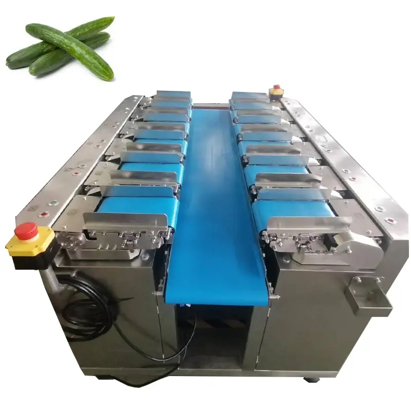 12頭黃瓜水果帶式多頭秤線性組合秤 1