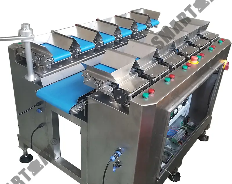 Moetsi oa mochini o boima oa motsoako o iketsang o iketsang oa lebanta la tlhapi le leqhoa le nang le lihlooho tse ngata tse boima ba mochini 1