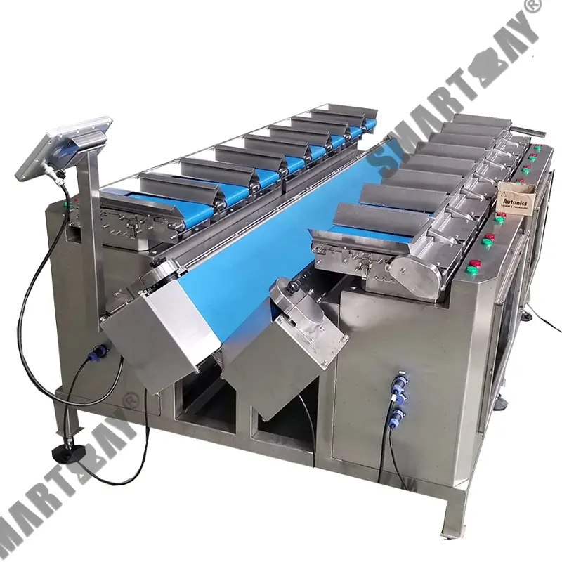 SUS304 semi auto weighing machine mushroom vegetable linear combination weigher with conveyor belt 1