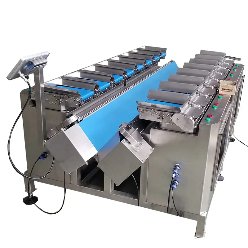 SUS304 반자동 계량기, 버섯 및 야채용 컨베이어 벨트가 있는 선형 복합 계량기 1