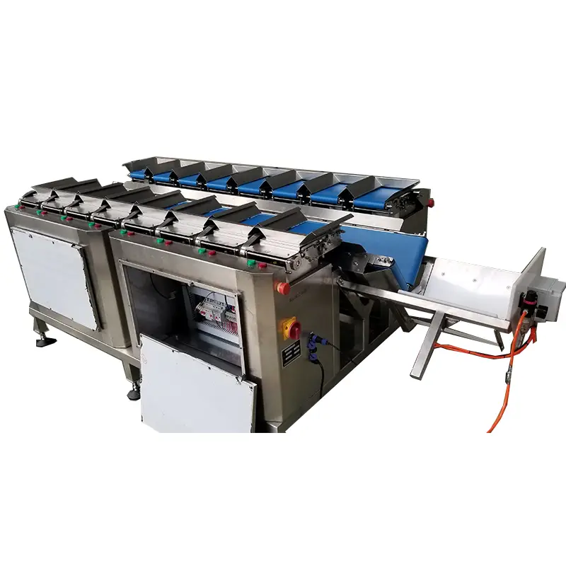 puoliautomaattinen lineaarinen yhdistelmä tuoreiden hedelmien ja vihannesten punnituskoneen vyö monipäiset punnitustehtaat 1