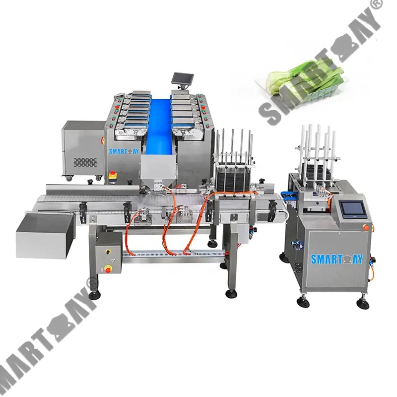 הויך אַקיעראַסי וואָג פילונג סילינג קרויט טאַץ דענעסטער סיסטעם בלאַט זענעפט פּאַקינג מאַשין פֿאַר פּערילאַ 1