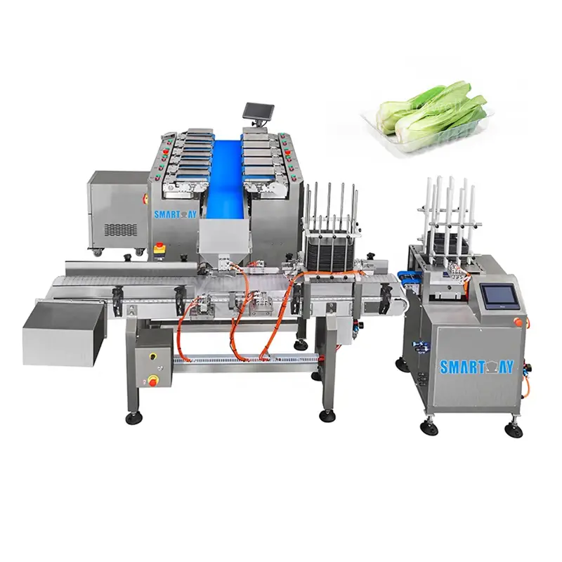 Héichgenauegkeet Gewiicht Fëllung Dichtung Kabes Schacht Entester System Blat Moschter Verpackungsmaschinn fir Perila 1