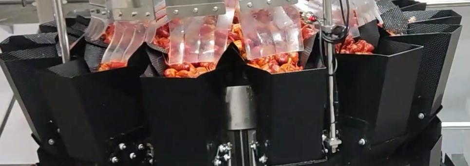 가재 가공 공장용 자동 카톤 성형, 충전, 밀봉 및 포장 라인 1