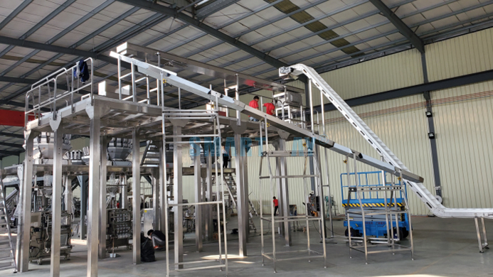 Unmanned Automatic Chips Packaging Machine System 5