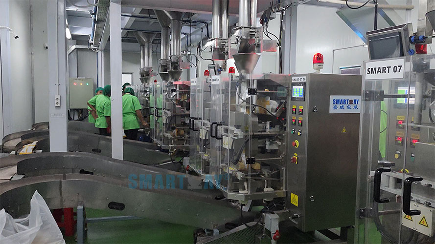 Extruded Snack Packing Machine System 2