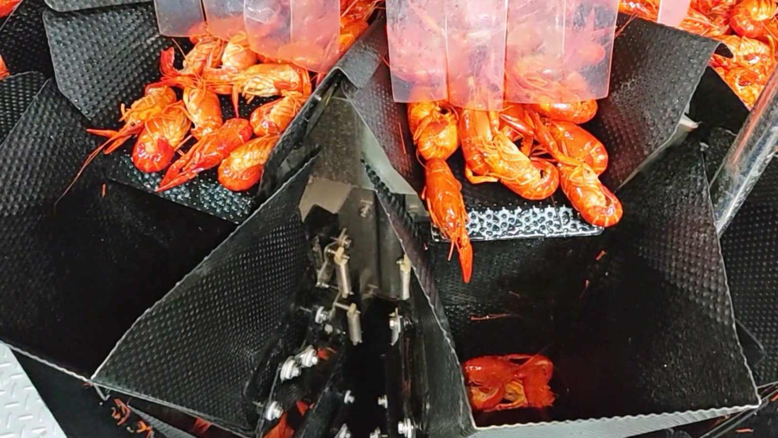 What are the functions of the crayfish tray filling and packing system? 4