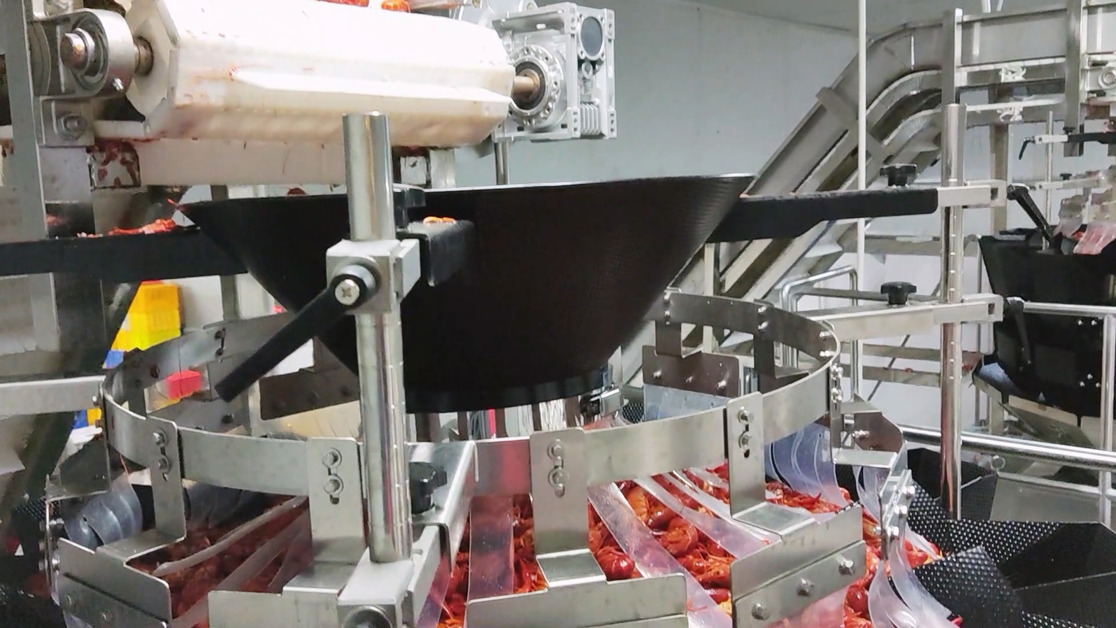 What are the functions of the crayfish tray filling and packing system? 3