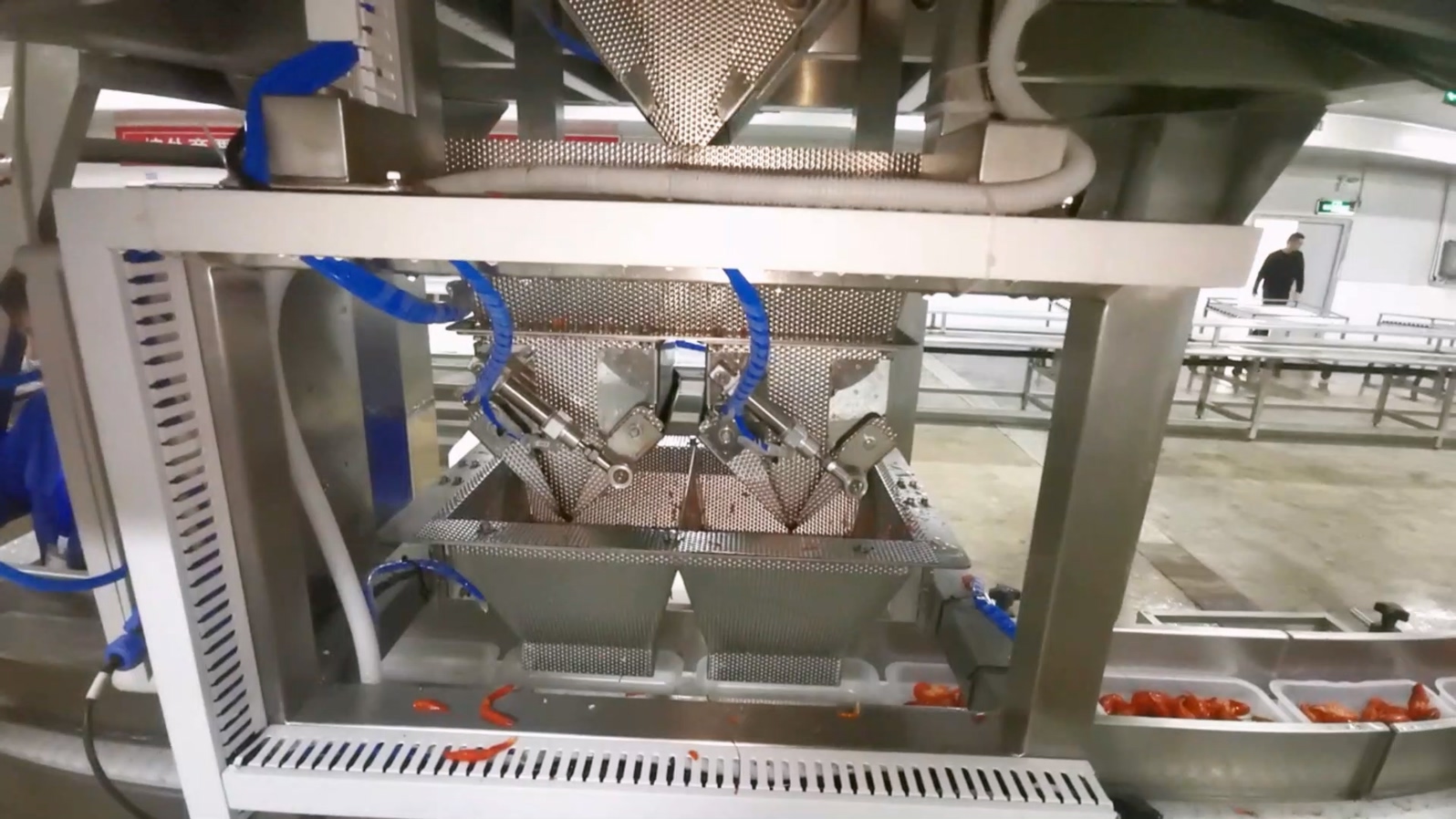 What are the functions of the crayfish tray filling and packing system? 5