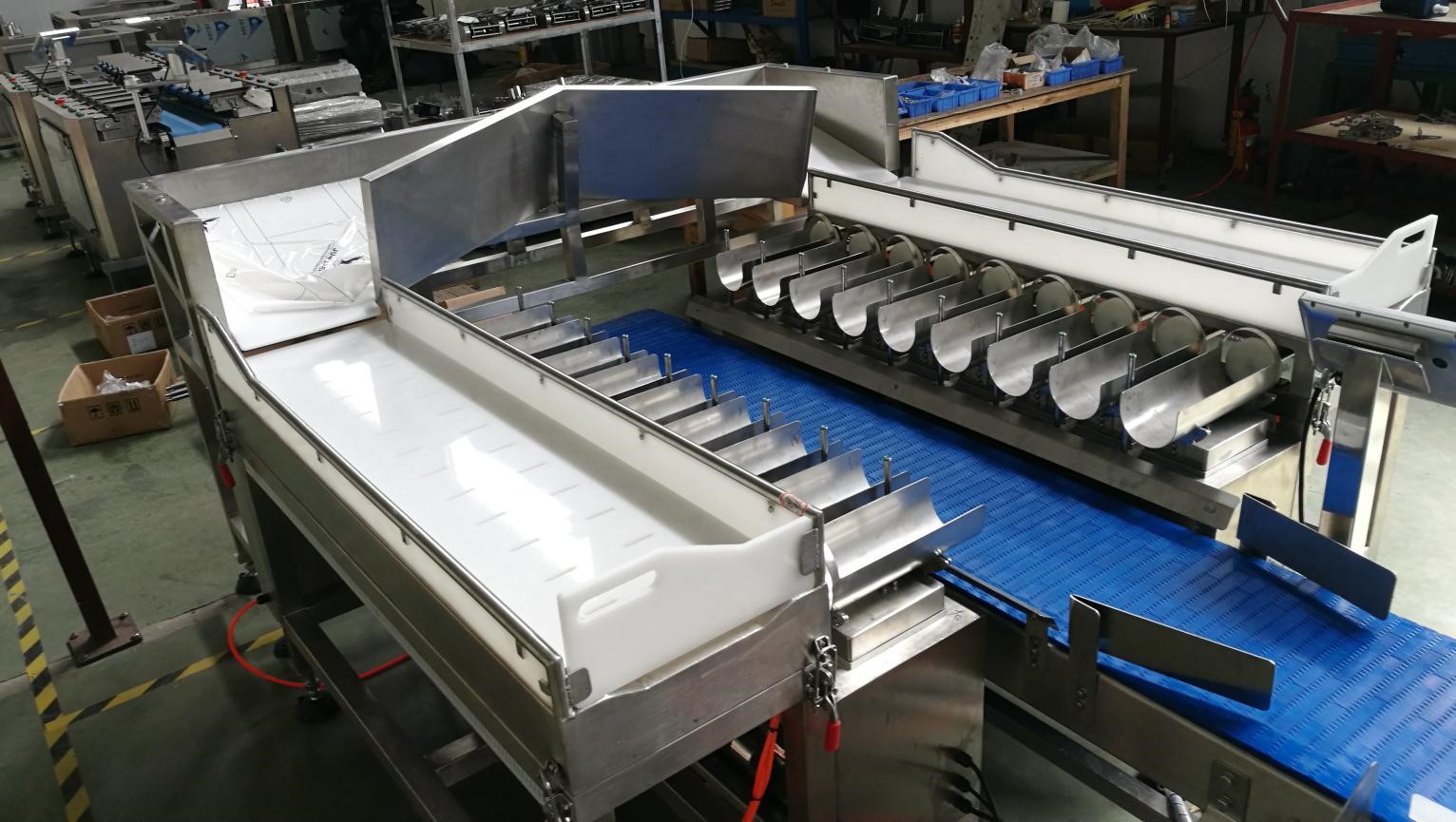 Why should you weigh fish with an 18-head linear combination weigher? 10
