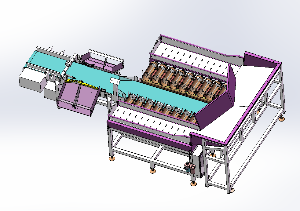 Why should you weigh fish with an 18-head linear combination weigher? 2